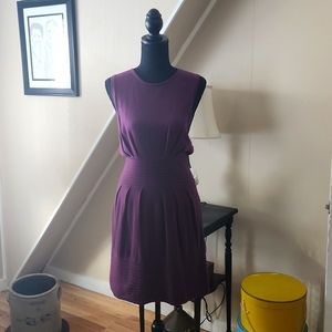 Banana Republic Plum Sweater Dress